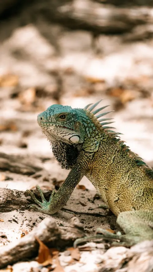 Rovereto, Animal Party apre le nuove sale di Zoologia