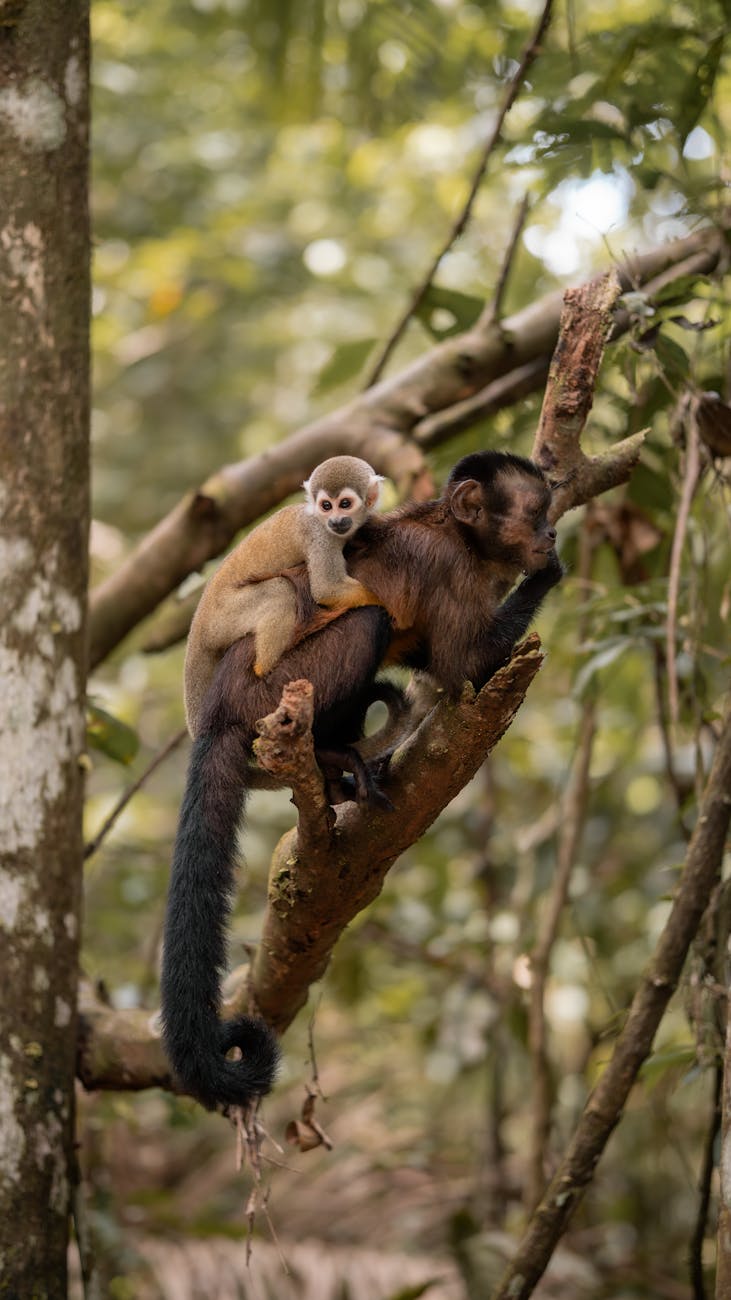 Rovereto, i Giovedì della Zoologia parlano di coscienza