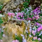 Rovereto, Flora magica futurista alla Casa Depero